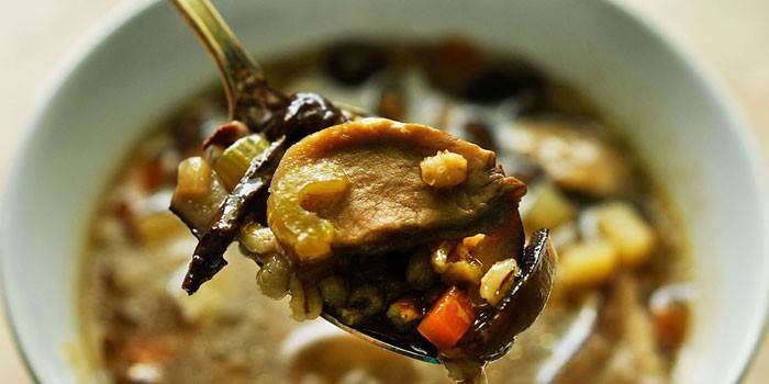 Sopa de cogumelos com cevadinha