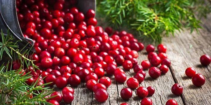 Frische Preiselbeeren