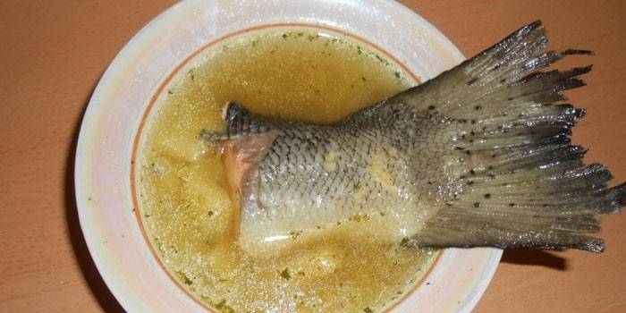 Ausis šķīvī un laša aste