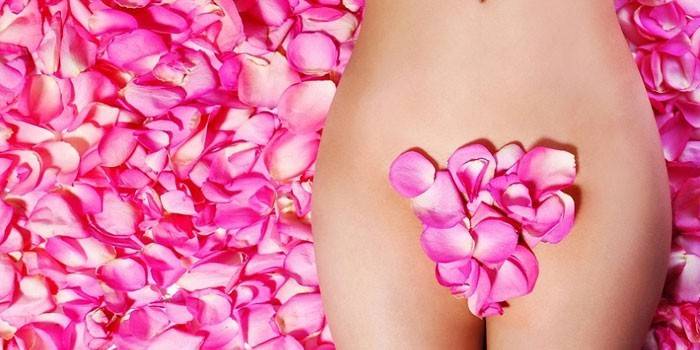 Donna in petali di rosa