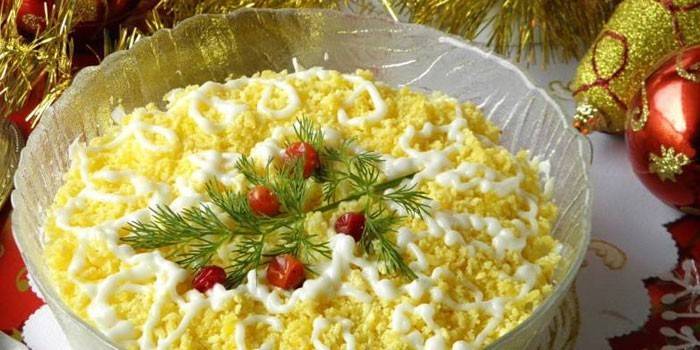 Klar Mimosa salat