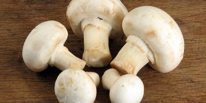 Champignon freschi