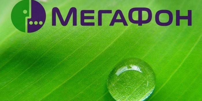 megafoni