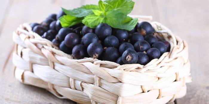 Blackcurrant trong một cái giỏ