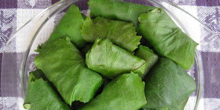 Dolma no svaigām vīnogu lapām pirms vārīšanas