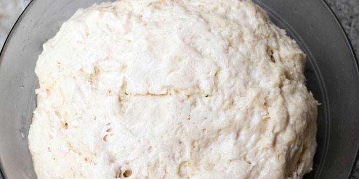Massa de biscoito bem fermentado