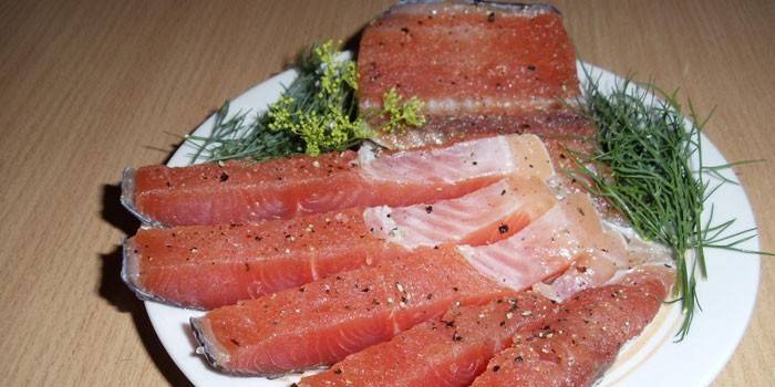 Trucha casera de salmón