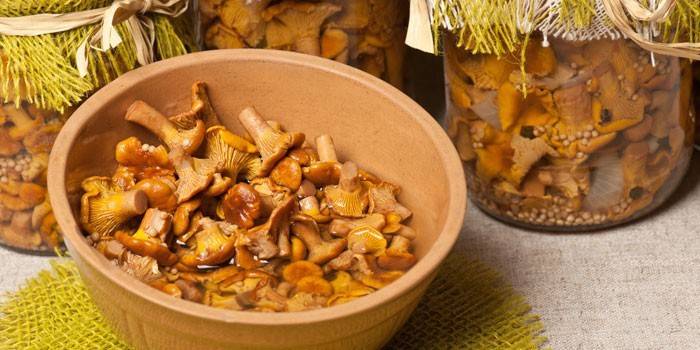 Chanterelles em frascos e um prato