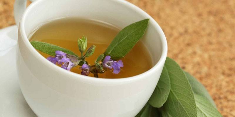 Infuso di salvia