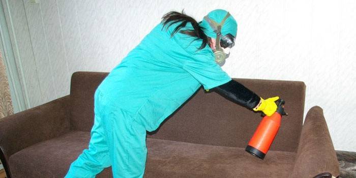 امرأة تقوم بمعالجة الأريكة