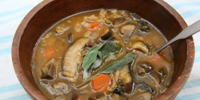Sopa de cogumelos com cevadinha