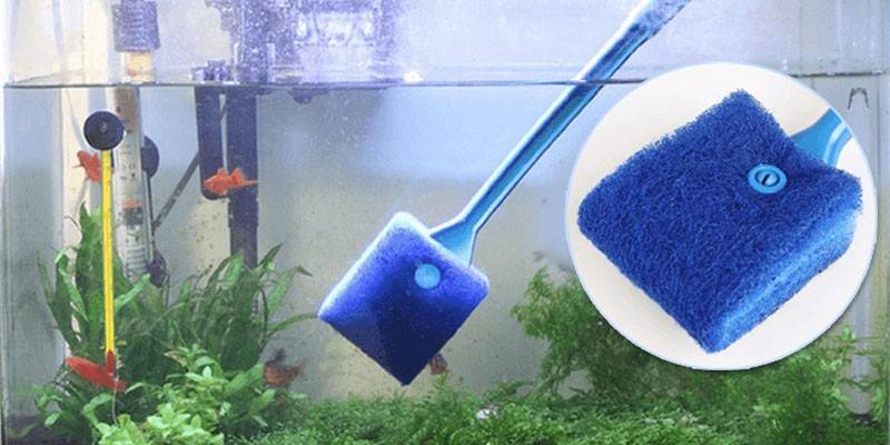 Nettoyage des murs de l'aquarium