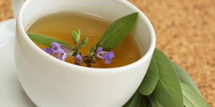 Brodo di salvia in una tazza