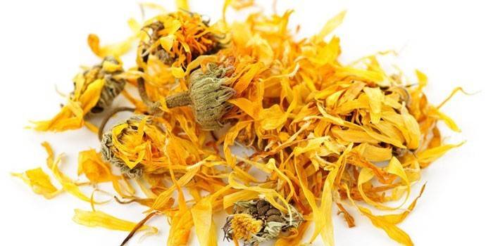 Fiori di calendula