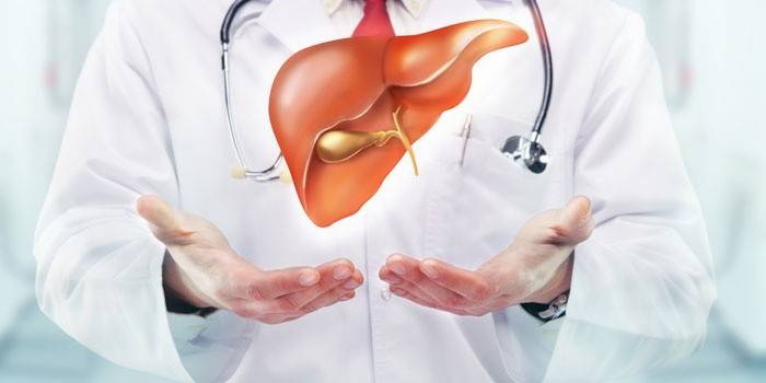 Medicul și ficatul uman
