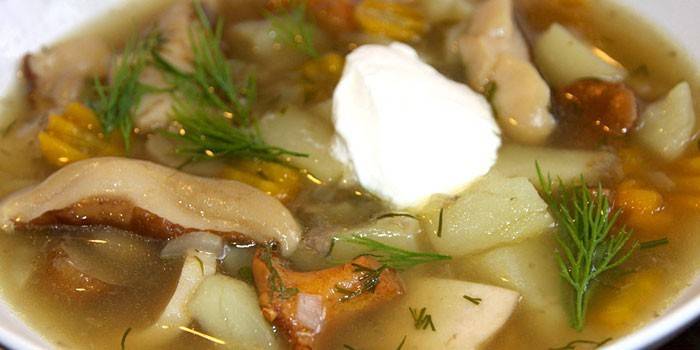Sopa De Cogumelos