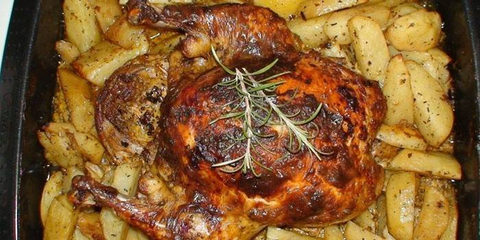 Frango em um travesseiro de batata em uma assadeira