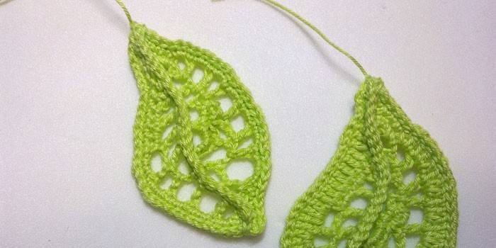 Irish Lace Related Leaves