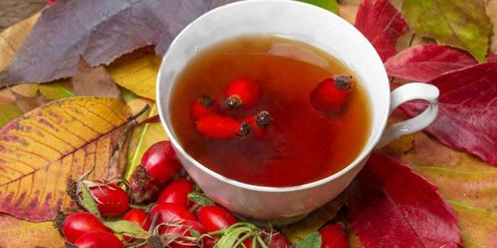 Το ζωμό Rosehip σε ένα φλιτζάνι