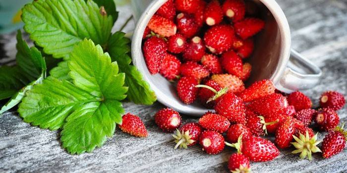 Fresas para hacer infusiones