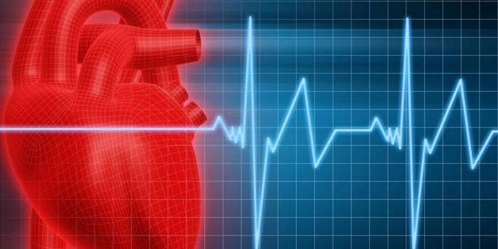 Cuore e cardiogramma