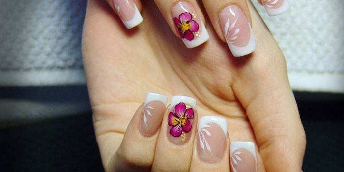option de conception de faux ongles