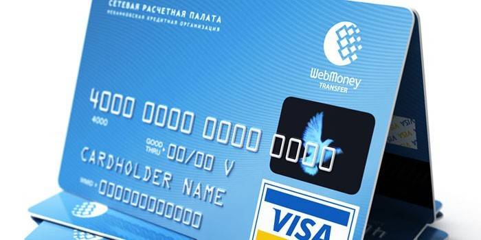 VISA plastik kart