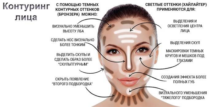 Contour du visage