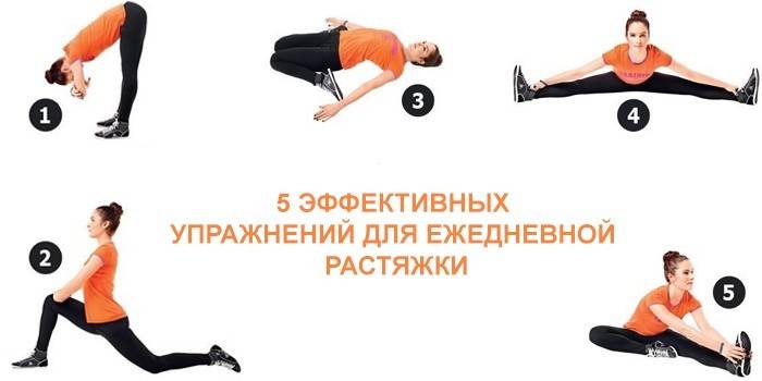 Esercizi di stretching