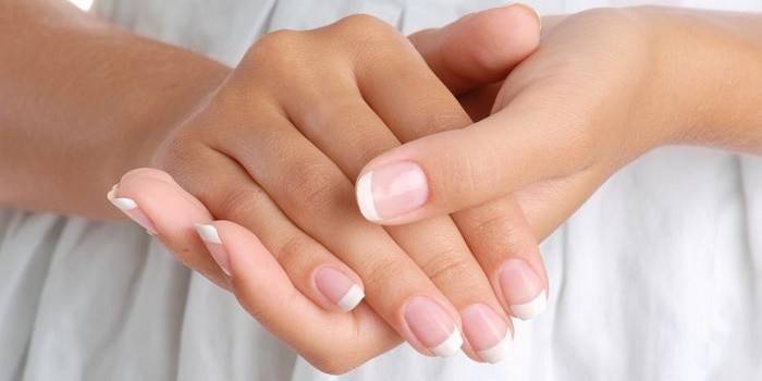 Mani femminili ben curate