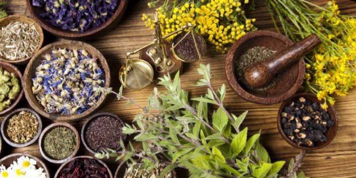Herbes médicinales