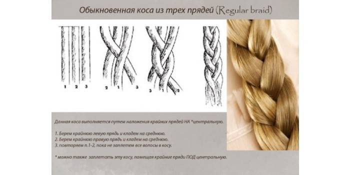 Parastā pigtail