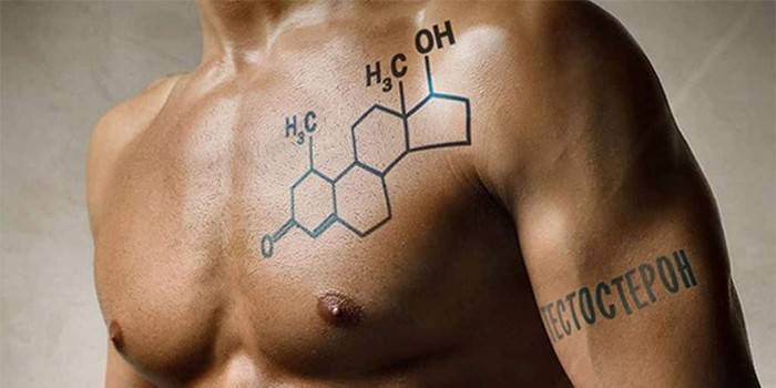 Vapaa testosteronin kaava miehen rinnassa