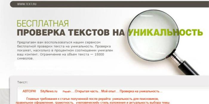 Page du site et loupe