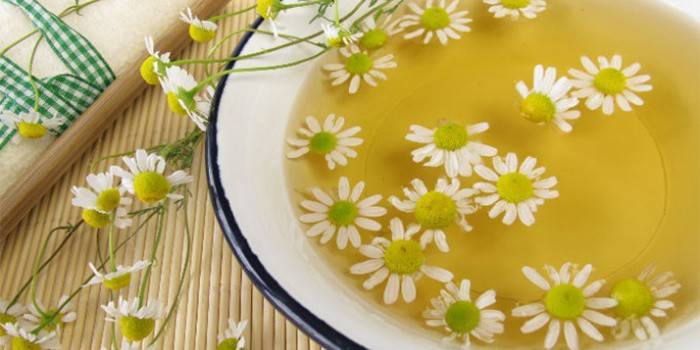 Một bát nước hoa cúc