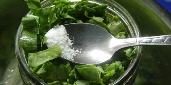 Sauerampfer in einem Glas und einem Löffel mit Salz