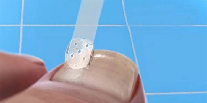 Ứng dụng sơn móng tay từ nấm