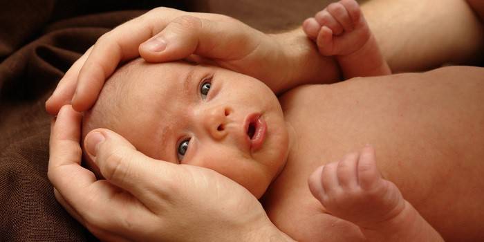 Palmas das mãos abraçam a cabeça do bebê