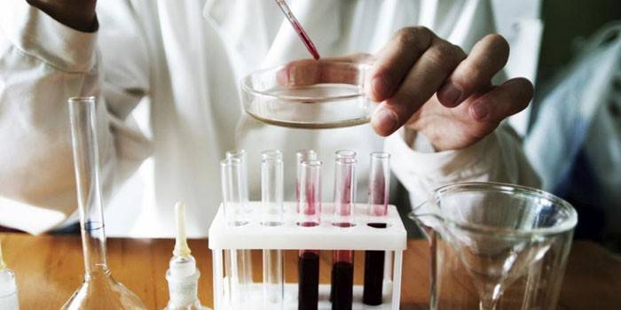 Il medico conduce analisi in una capsula di Petri