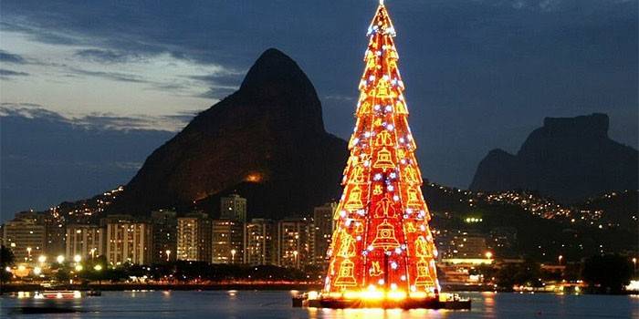 Árvore de natal nos trópicos