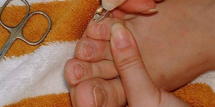 Il maestro fa la pedicure