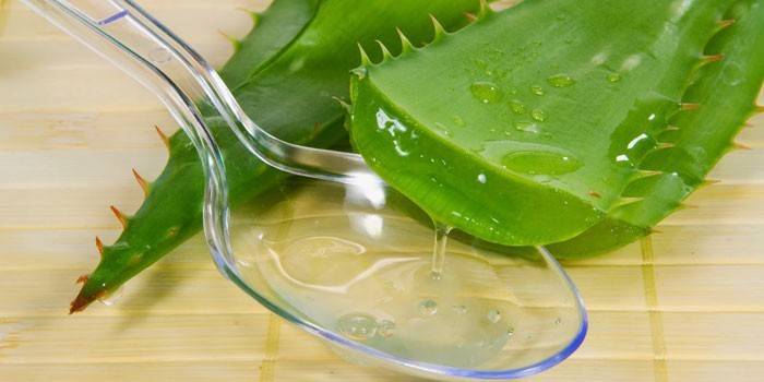 Aloe og ske med aloe juice