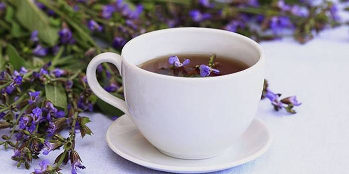 Cupa cu infuzie și flori de salvie