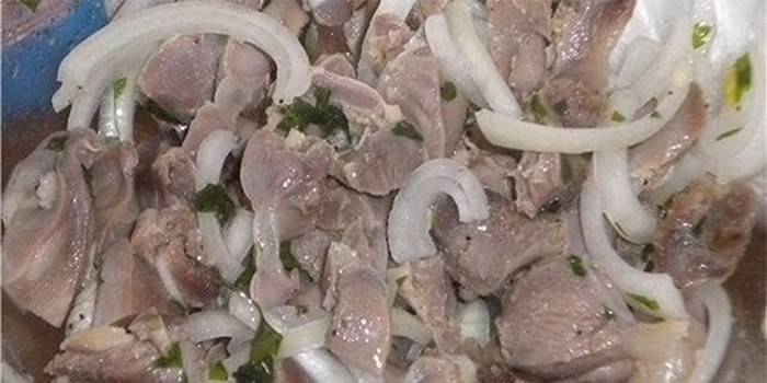 Marinoitua sipulia