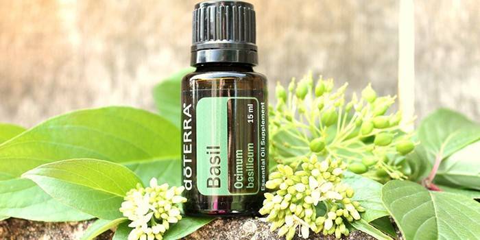 Basil Essential Oil