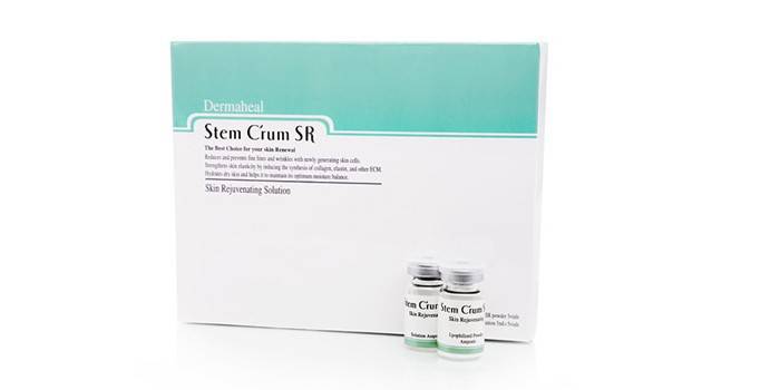 Stem C’rum SR