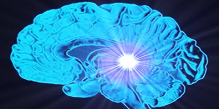 La posizione della ghiandola pineale nel cervello