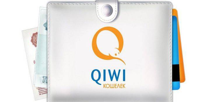 Carteira de logotipo Qiwi com dinheiro e cartões
