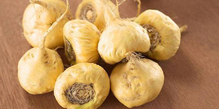 Radici di piante di papavero