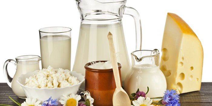 Productos lácteos